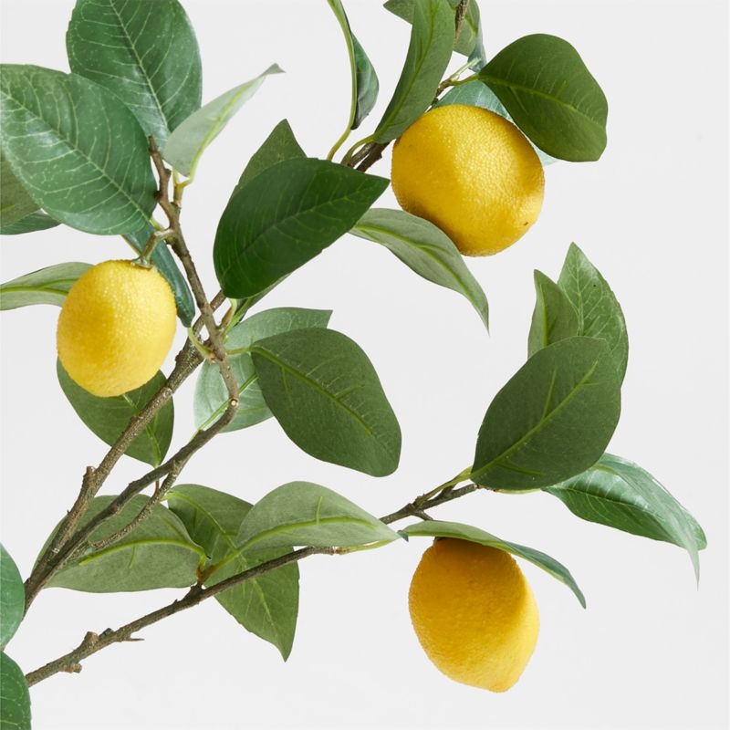 Faux Lemon Stem Arrangement in Ophelia Matte Natural Large Vase 17" - Image 2