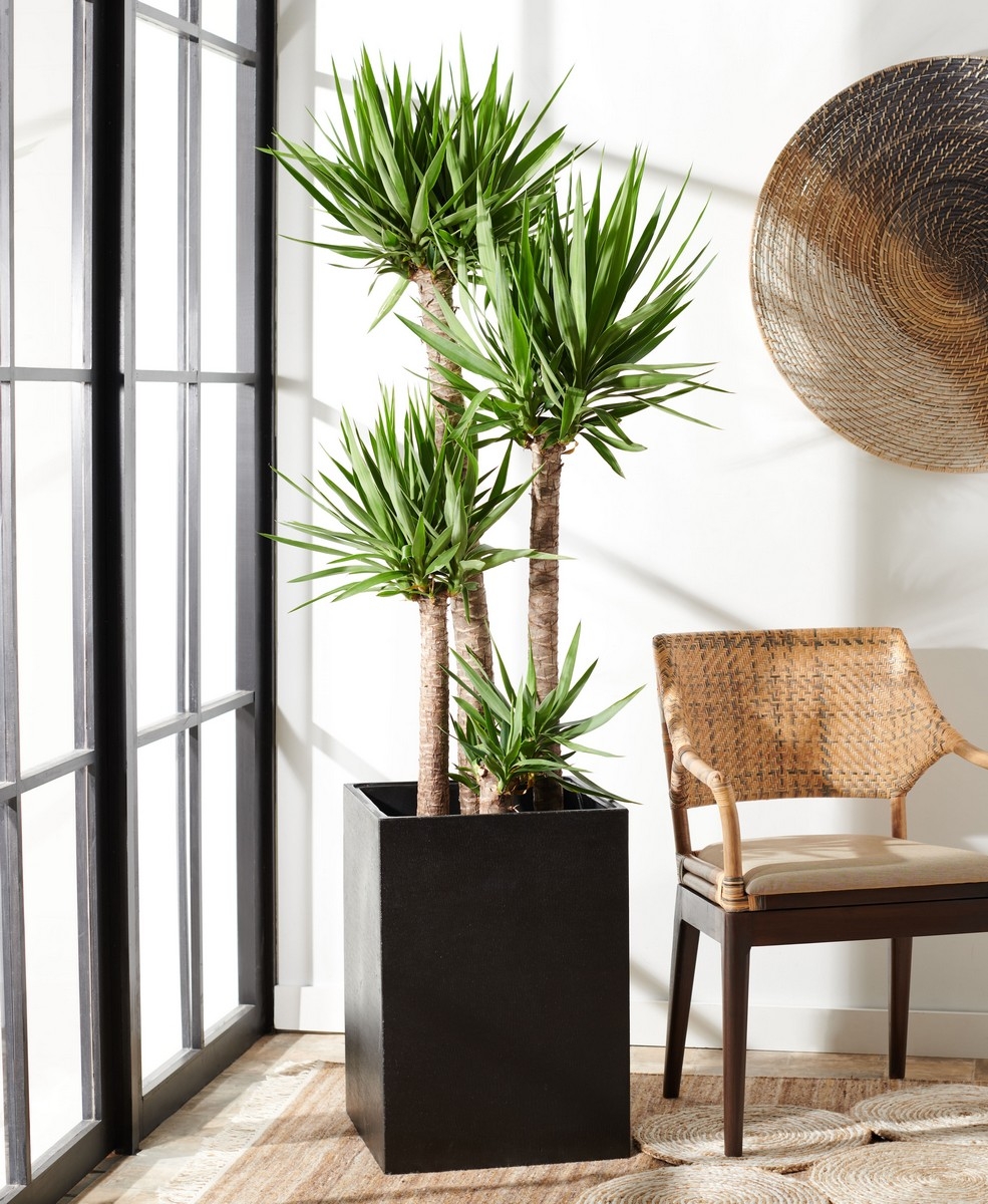 Kendri Planter - Black - Safavieh - Image 1