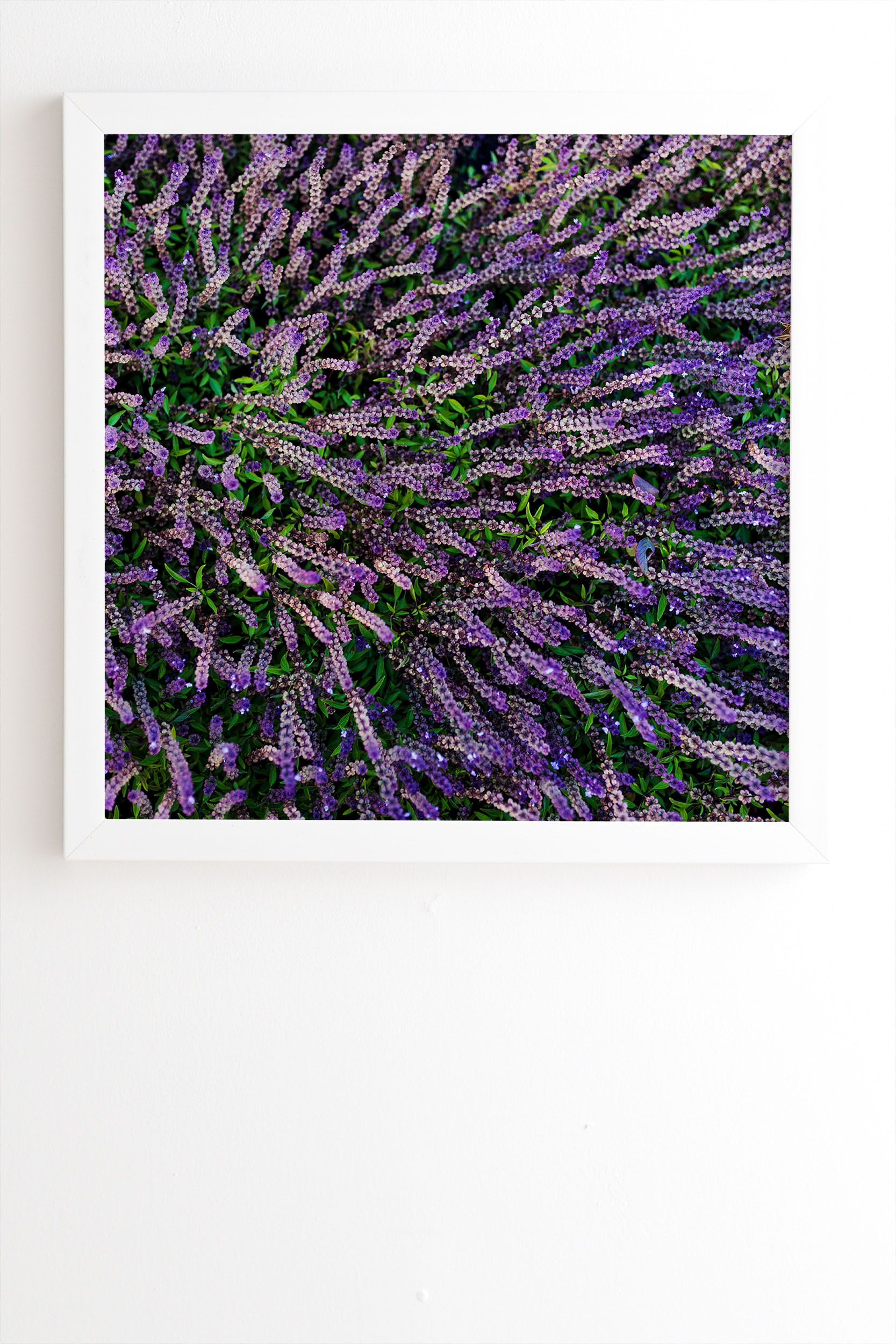 Purple Gardens by Chelsea Victoria - Framed Wall Art Basic White 8" x 9.5" - Image 1