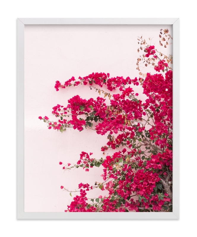 Bright Bougainvillea Limited Edition Fine Art Print 1 - Image 0
