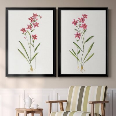 S3353-Delicate Pink I Premium Framed Print - Ready To Hang - Image 0