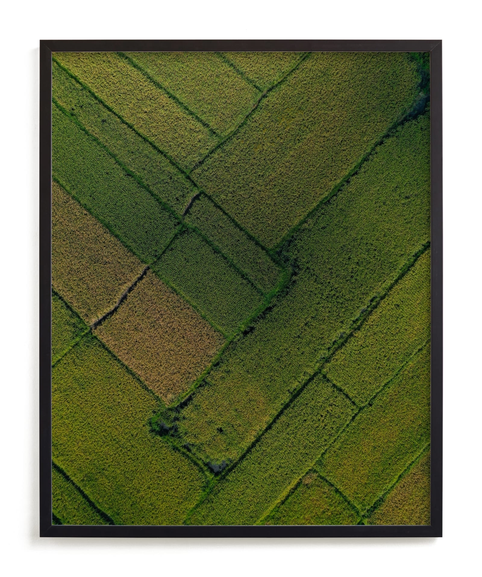 Above The Paddy Limited Edition Fine Art Print 2 - Image 0