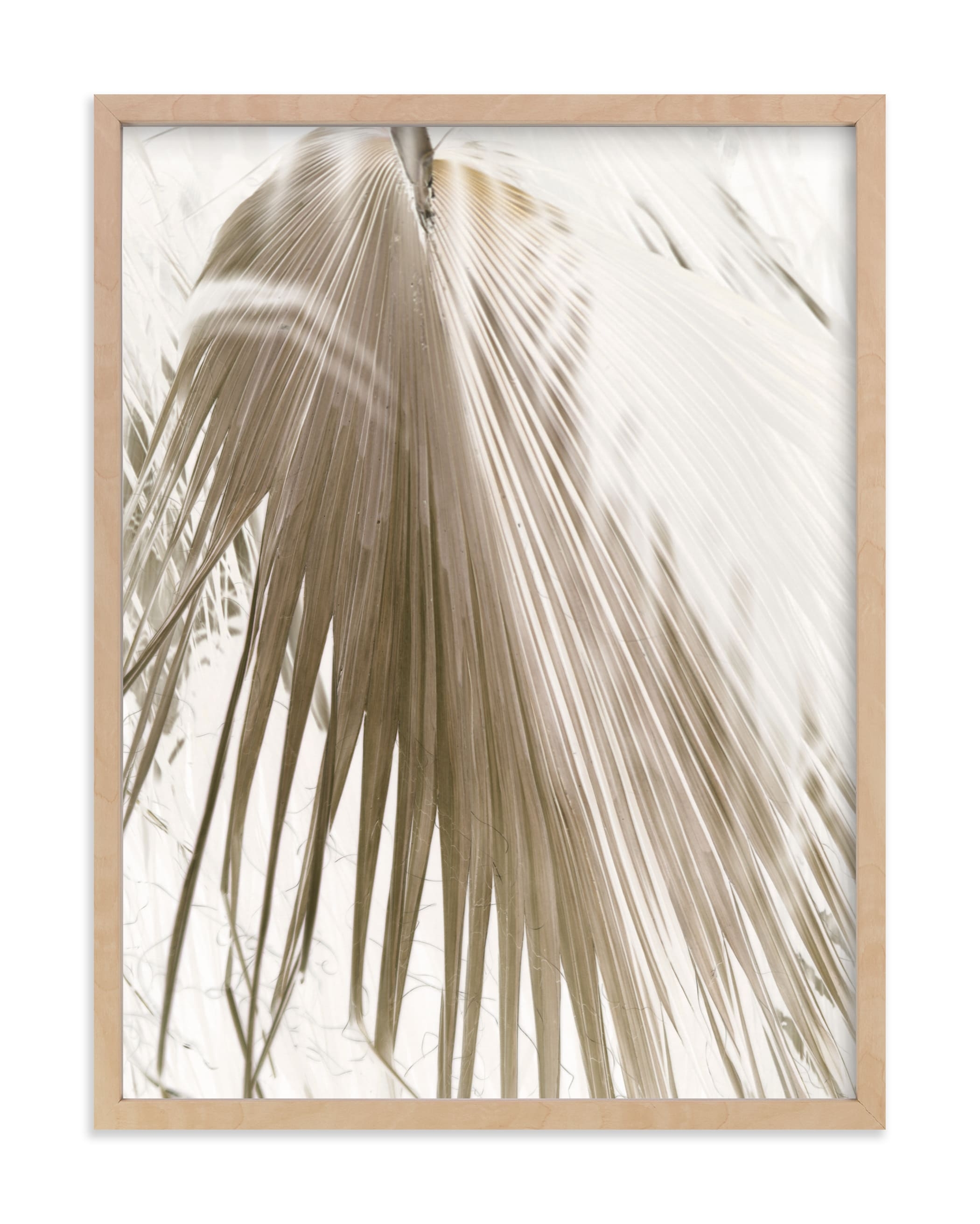 Vanilla Palm Art Print - Image 0