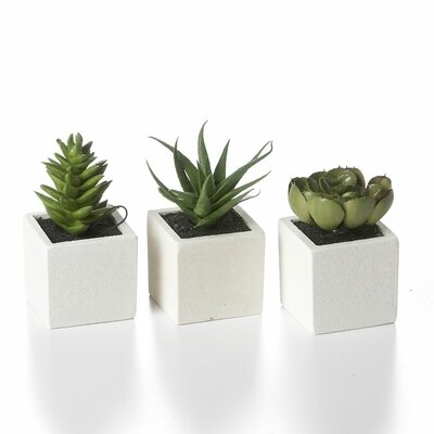 3 Artificial Aloe Succulent in Planter Set - Image 0