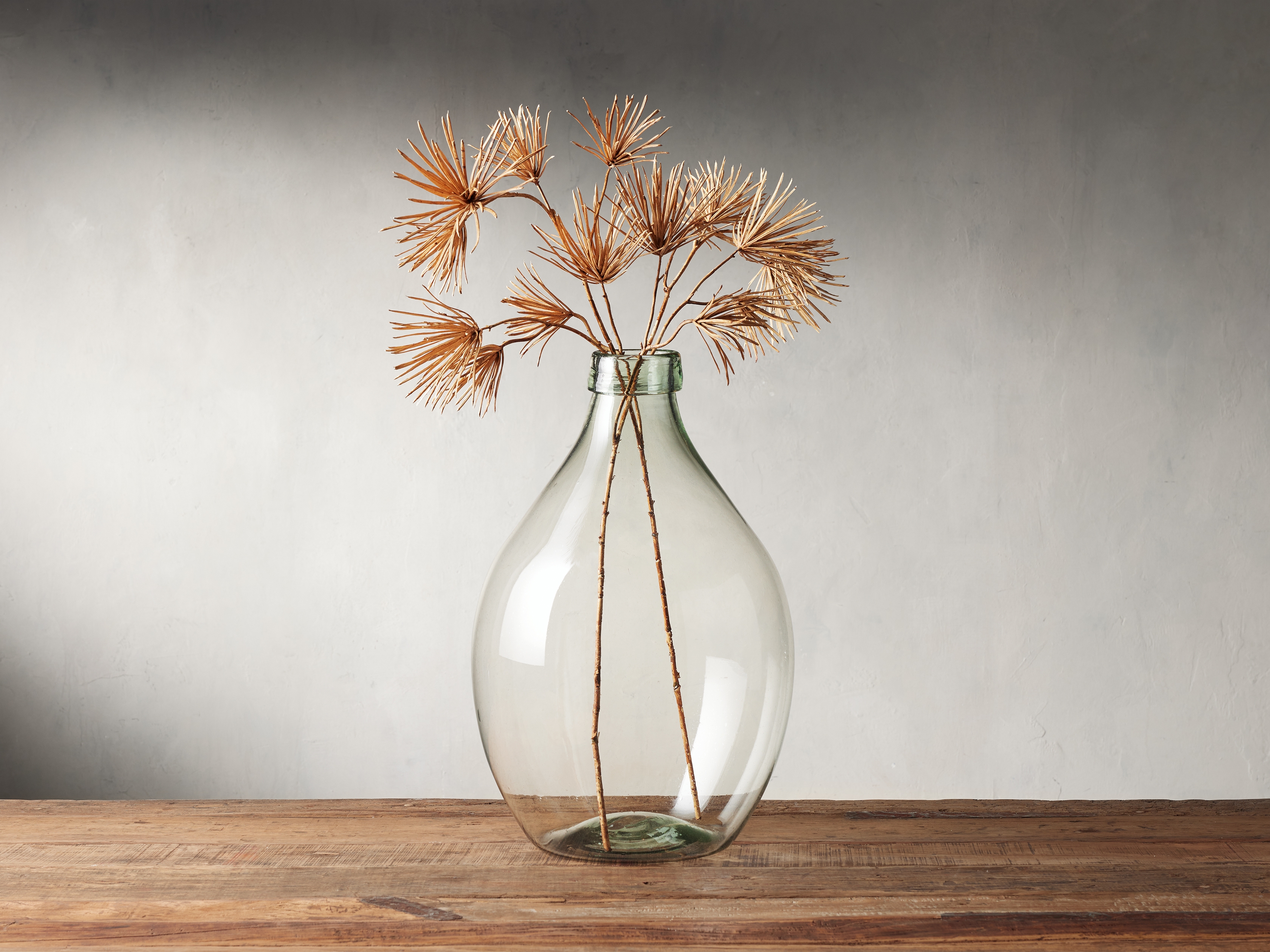 Podocarpus Spray (Set Of 2) in Brown - Image 0