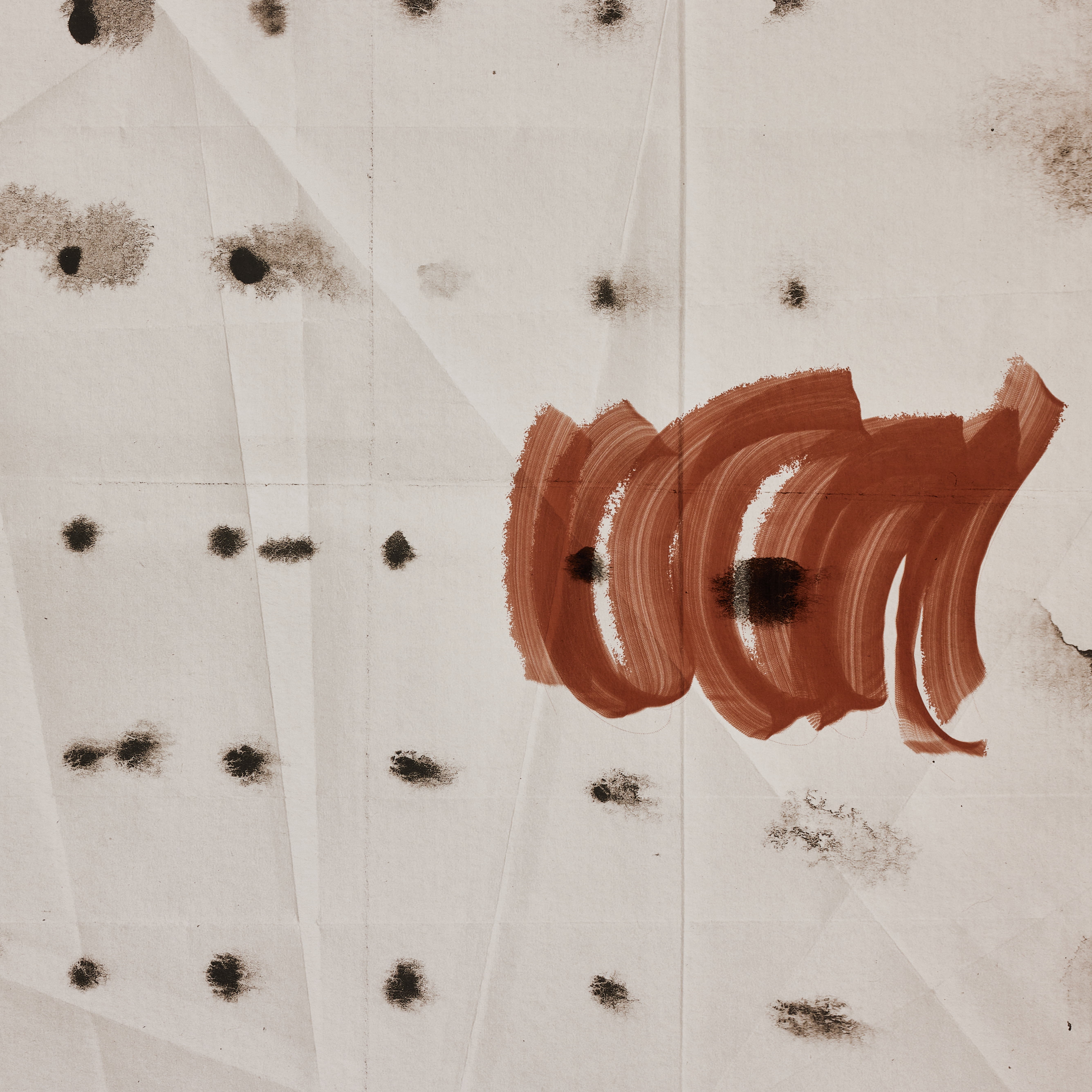 Ink Study by Coup D'esprit Ltd - Black 2.5 Maple - Image 4