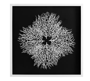 Coral Shadow Box Art, Black/White, Square - Image 2