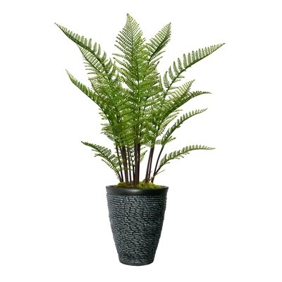 Vintage Home Artificial Faux Real Touch 5.17 Feet Tall Fern Plant With Eco Planter - Image 0