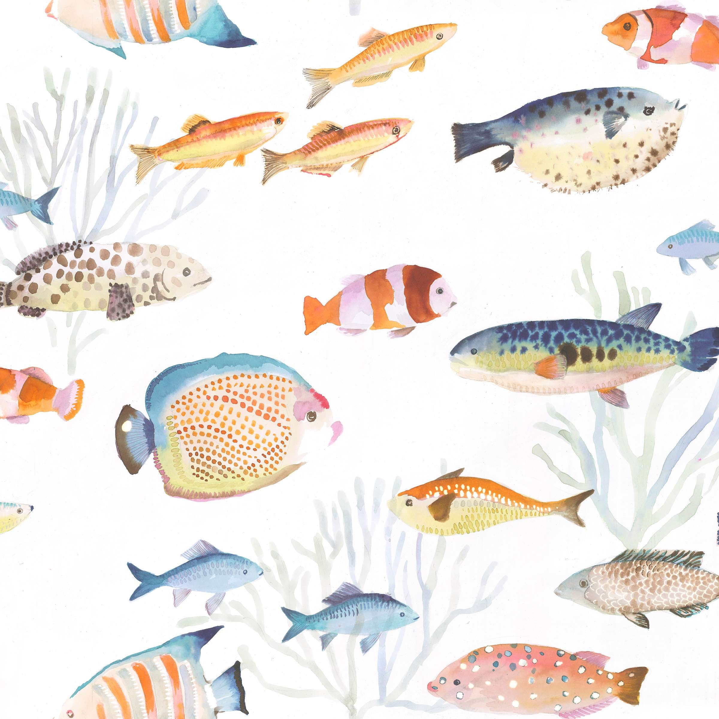 Happy Fish Multi Wallpaper - Image 2