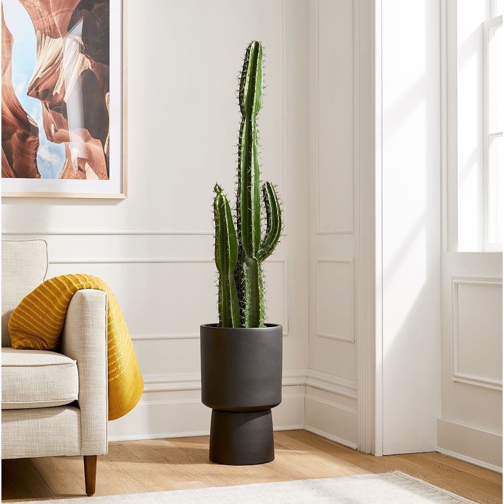 Faux Potted Cactus & Tall Bishop Planter, Black - Image 0