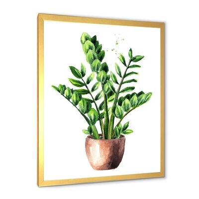 Zamioculcas Tropical Plant With Green Leaves - Traditional Canvas Wall Art Print FDP35488 - Image 0