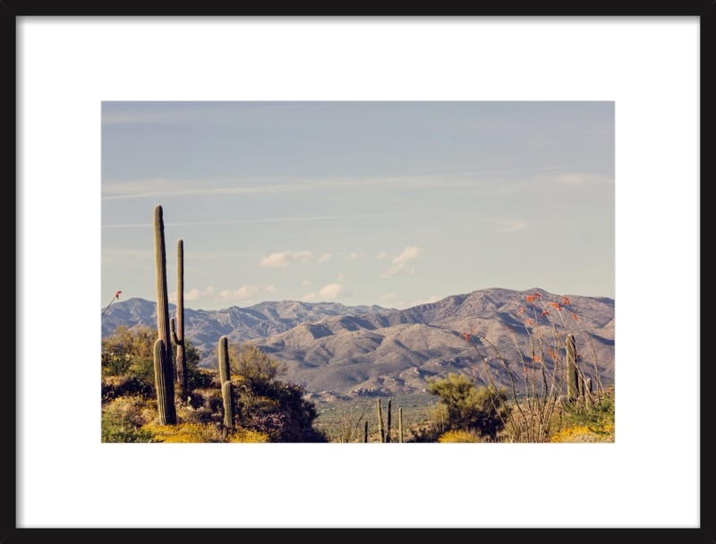 Eastern Saguaro by Ann Hudec for Artfully Walls - Image 0