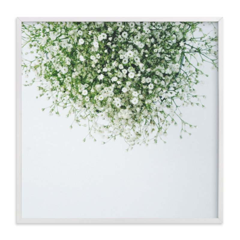 Gypsophila Limited Edition Fine Art Print 1 - Image 0