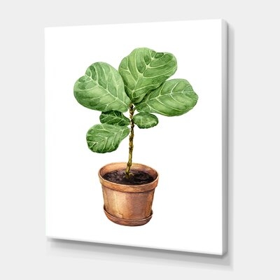 Ficus Lyre In Clay Flowerpot - Traditional Canvas Wall Art Print-FDP35078 - Image 0