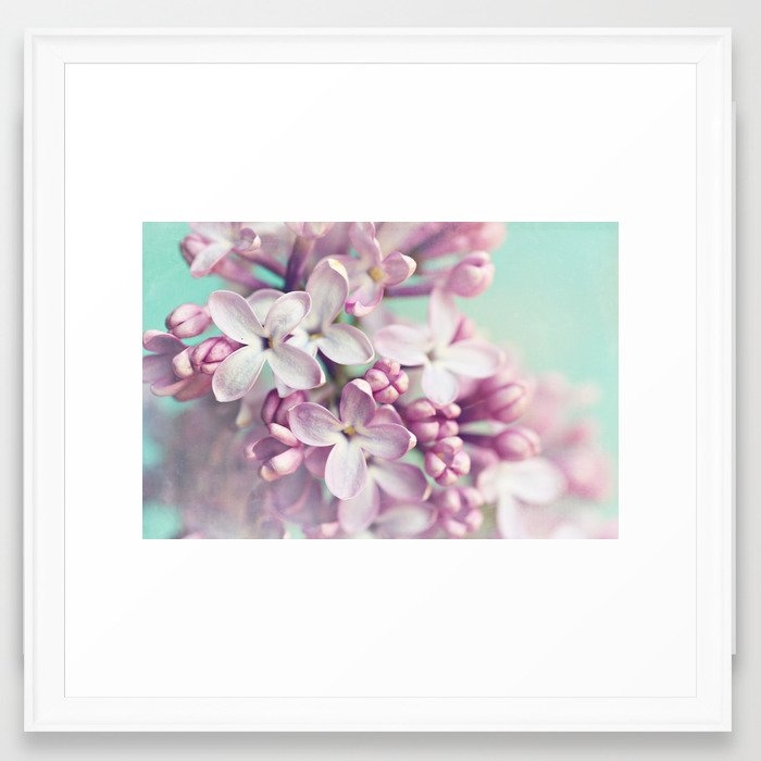 Finally Spring Framed Art Print by Sylvia Cook Photography - Scoop White - Medium(Gallery) 20" x 20"-22x22 - Image 0