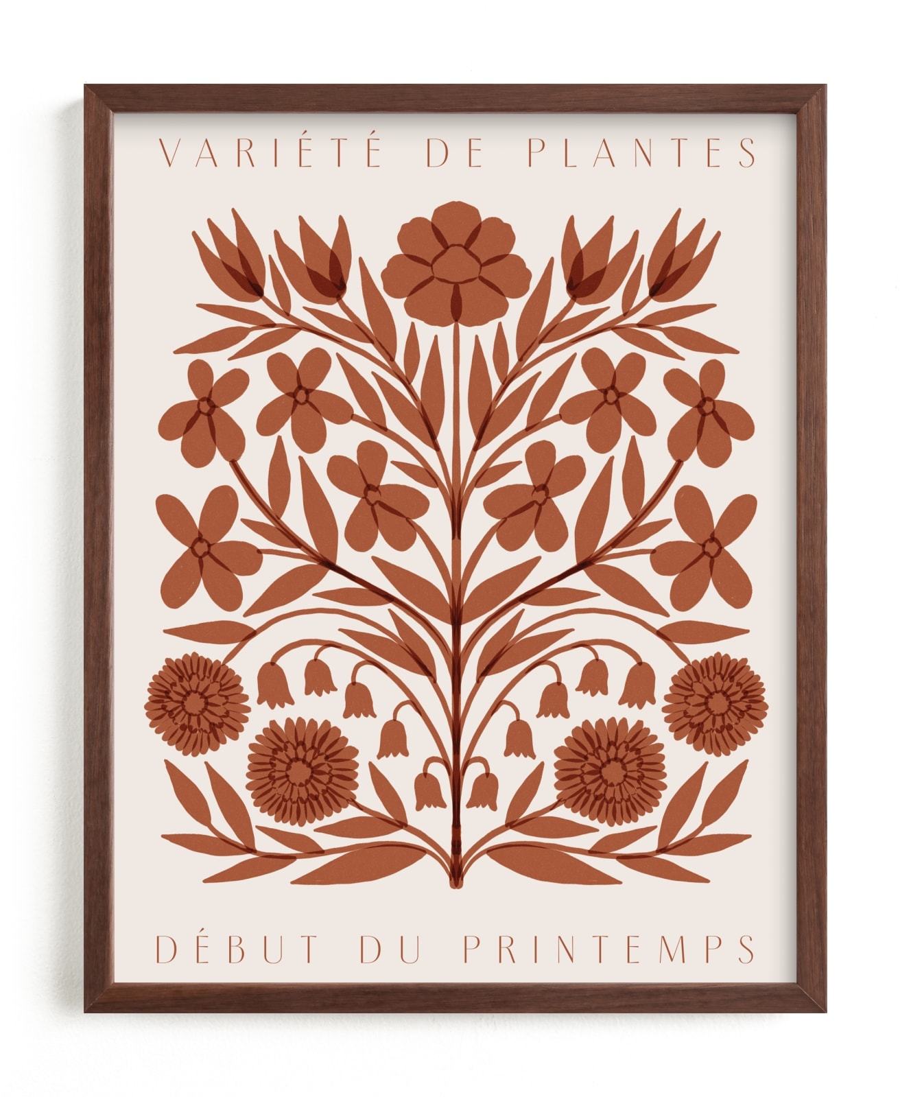 Les Plantes I Open Edition Fine Art Print - Image 0