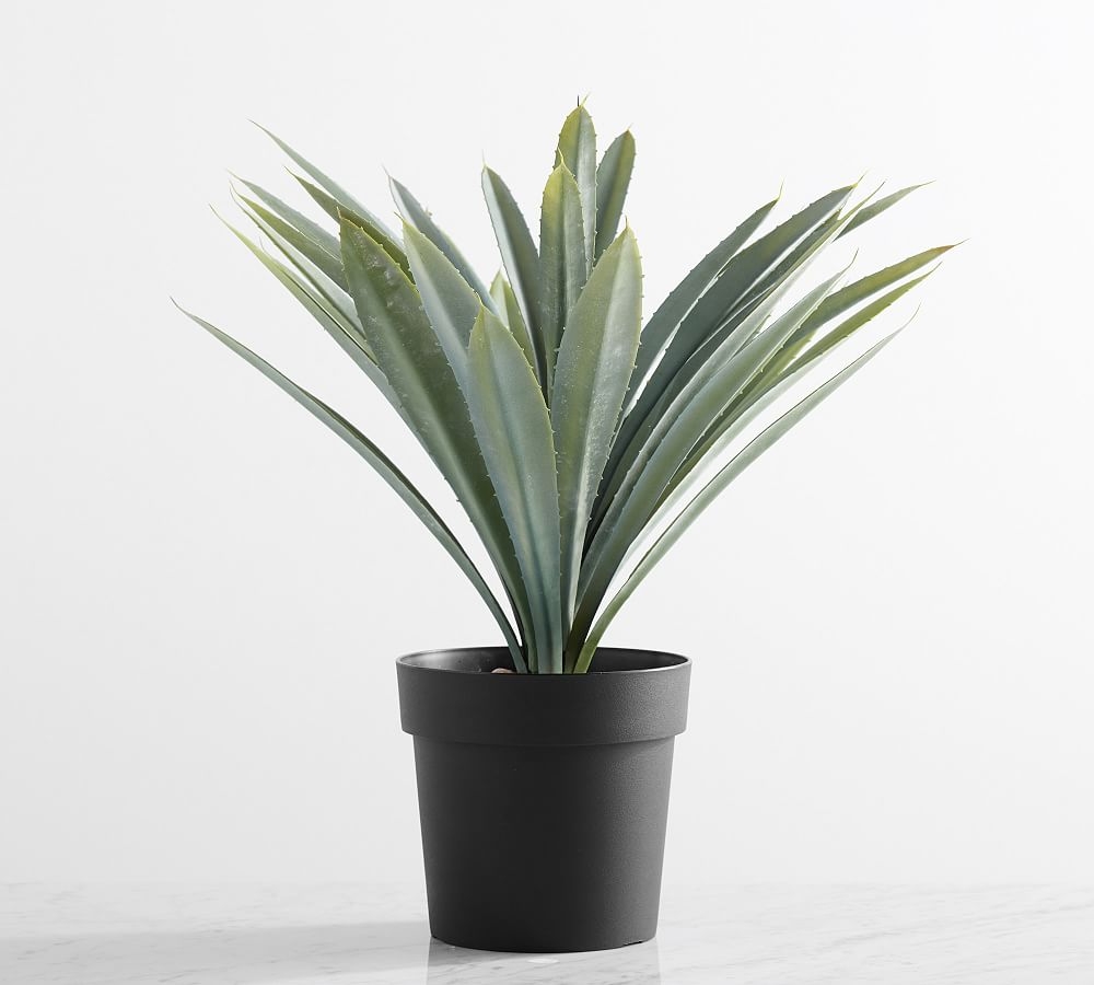 Faux Potted Faded Striped Agave Plant - Image 0