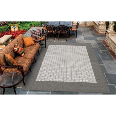 Oavia Checkered Field Gray/White Indoor / Outdoor Area Rug - Image 0