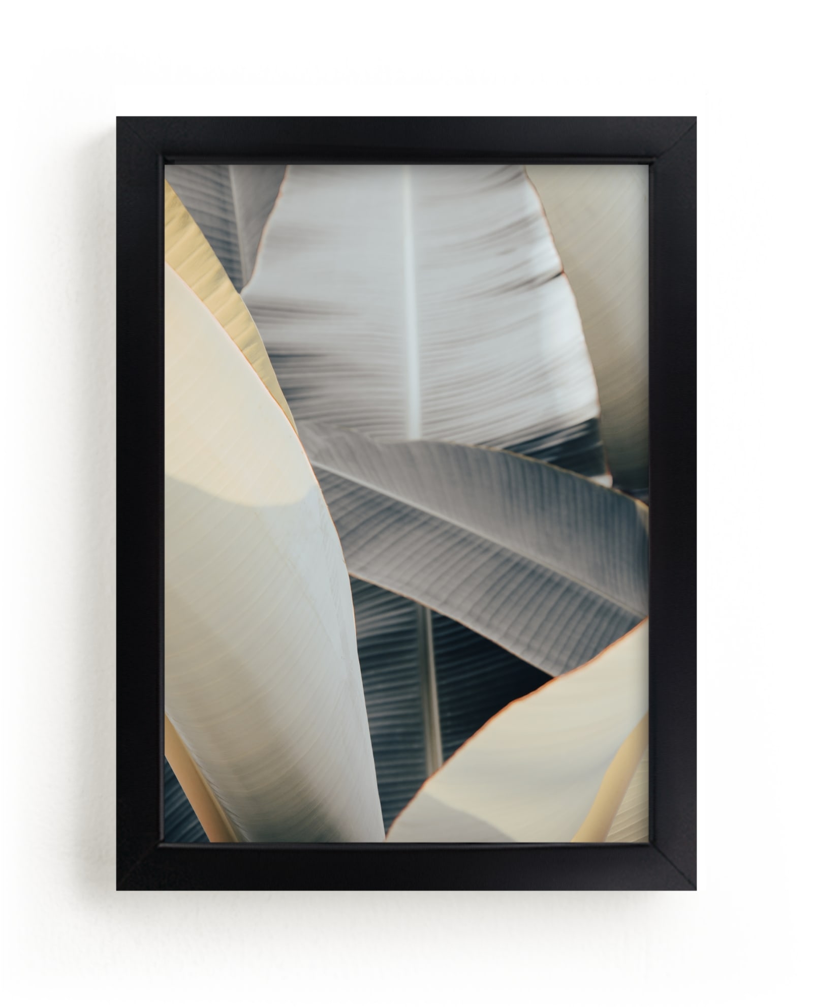 Metal Leaves Open Edition Fine Art Print - Image 0