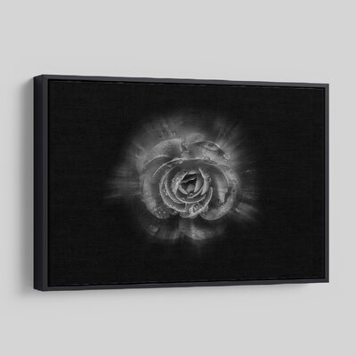 'Backyard Flowers In Black And White 64' - Photographic Print On Wrapped Canvas - Image 0