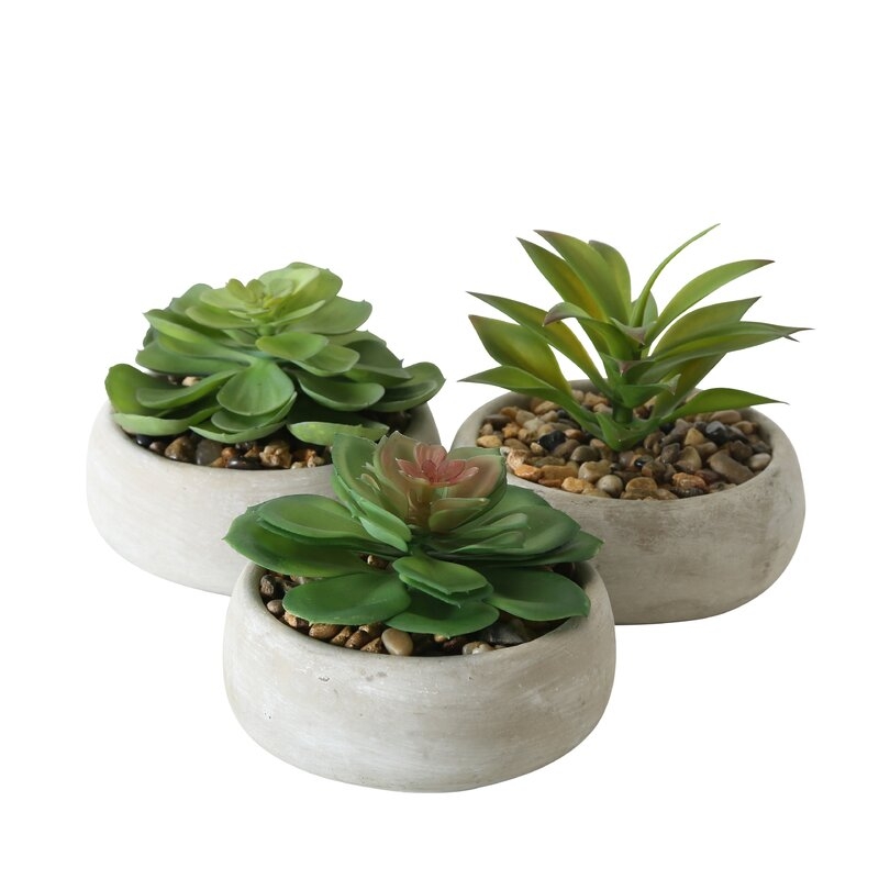Faux Succulents in Stone Pots, Set of 3 - Image 0