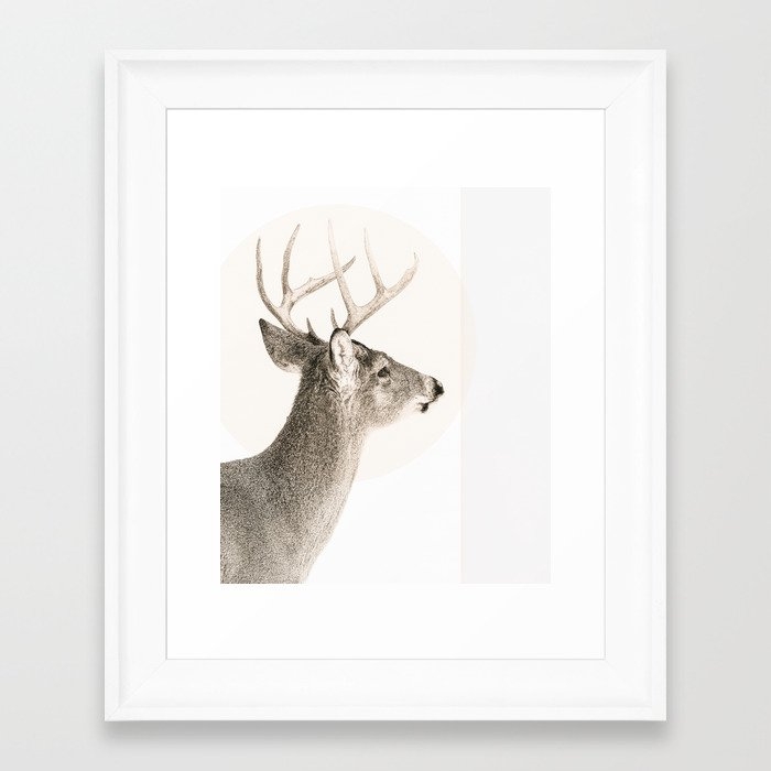 Deer 0631 Framed Art Print by Christina Lynn Williams - Scoop White - X-Small 8" x 10"-10x12 - Image 0