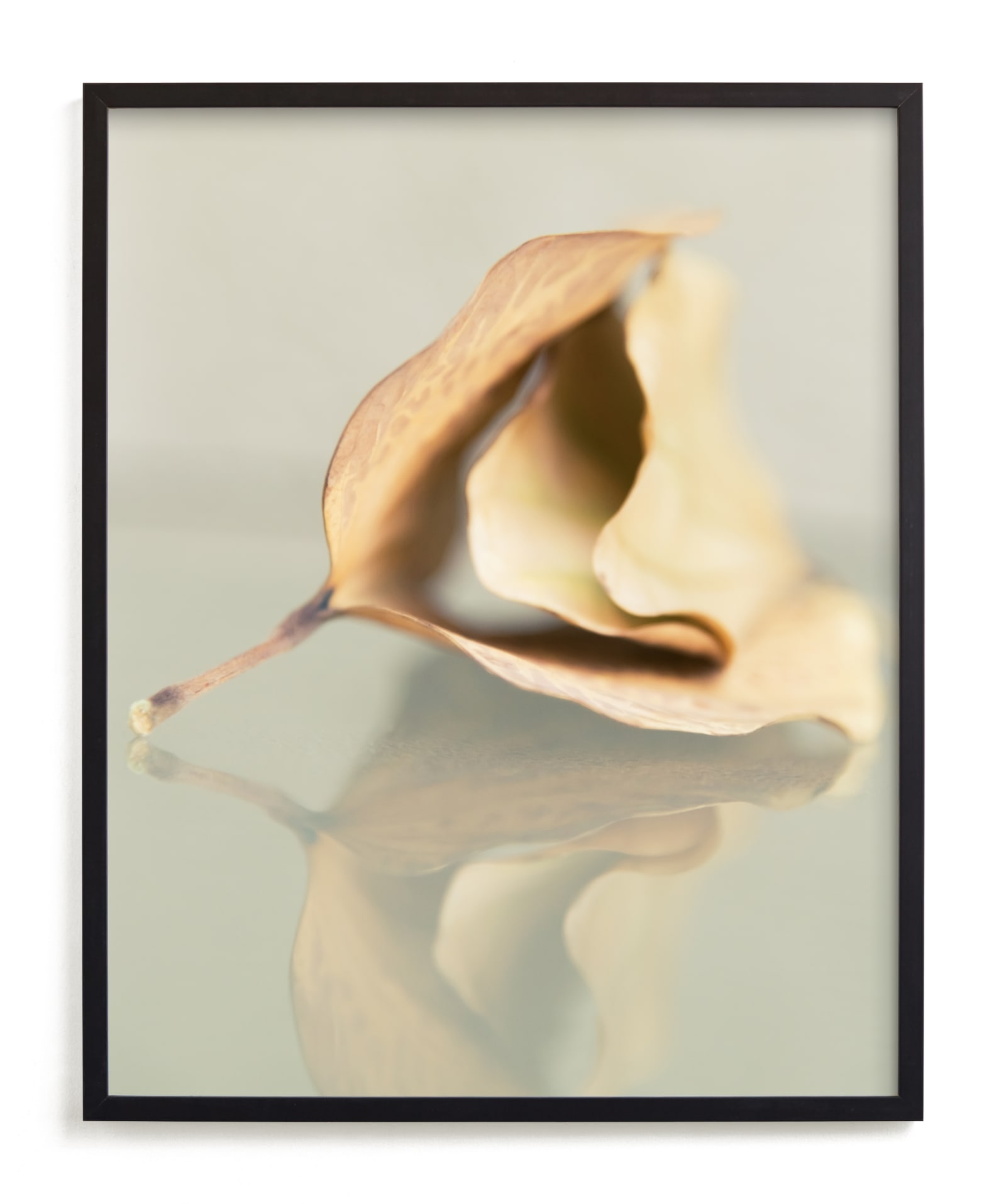 Harmony Limited Edition Fine Art Print 2 - Image 0