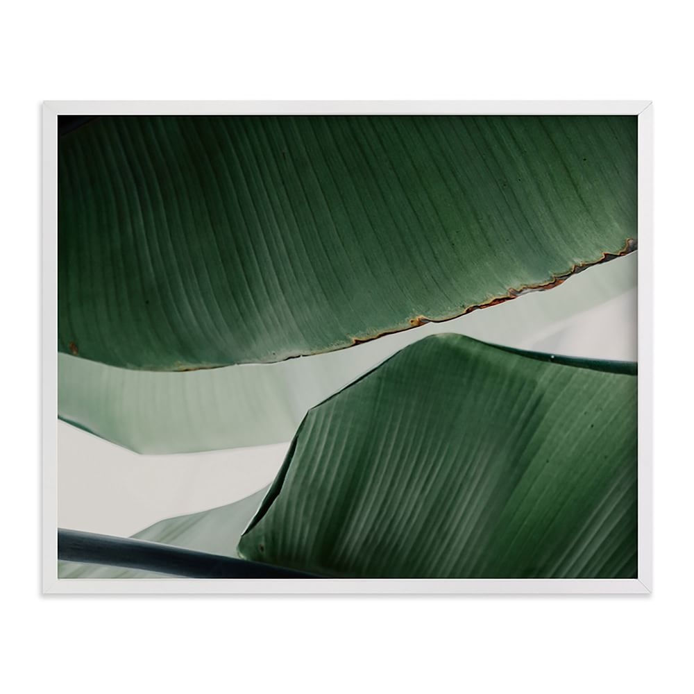 Leaf & Light 4, Full Bleed 20"x16", White Wood Frame - Image 0