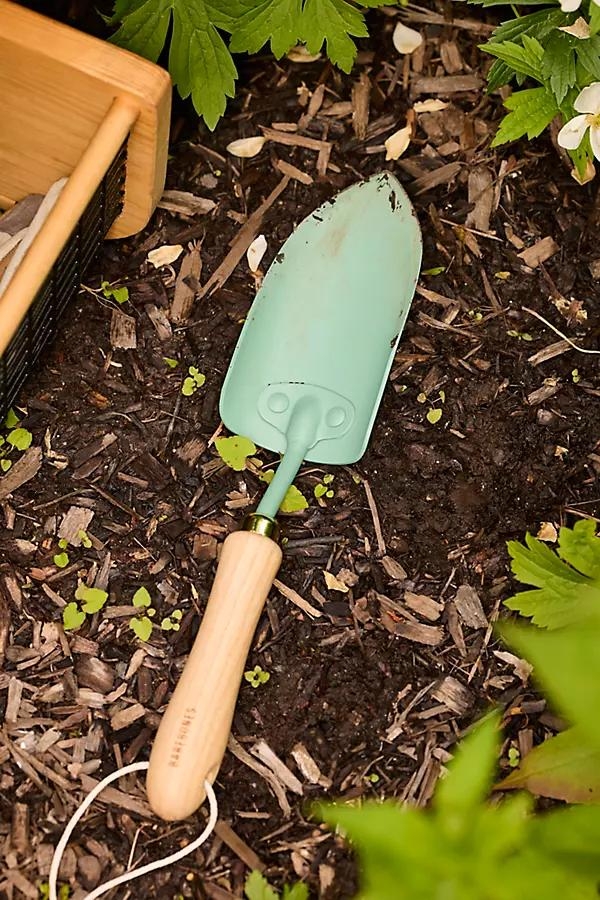 Mint Spade Hand Trowel - Image 0