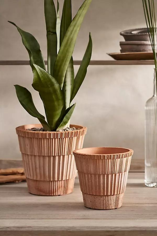 Atlas Terracotta Pot + Saucer Set - Image 0