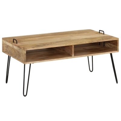 Stanberry 4 Legs Coffee Table with Storage - Image 0