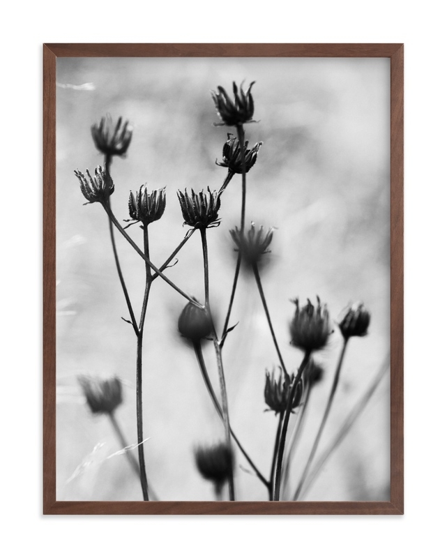 Autumn Detail Limited Edition Fine Art Print 1 - Image 0