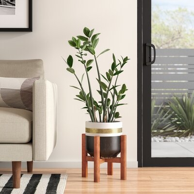 Bellaire Handcrafted Fiber Clay Pot Planter - Image 0