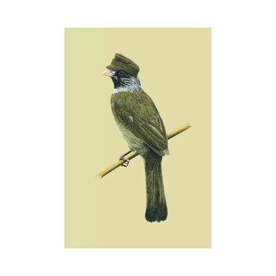 Collared Finchbill by Mikhail Vedernikov - Gallery-Wrapped Canvas Giclée - Image 0