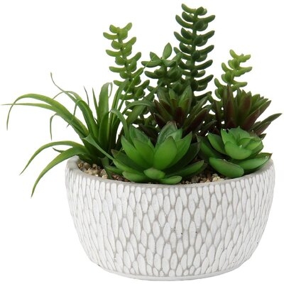 Artificial Succulent, Fake Succulent Plants In Cement Basin Pot Mini Assorted Green Faux Succulent Plant Potted For Home Office Living Room Table Desk Plants Decorations - Image 0