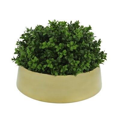 4.5" Artificial Boxwood Plant in Vase - Image 0