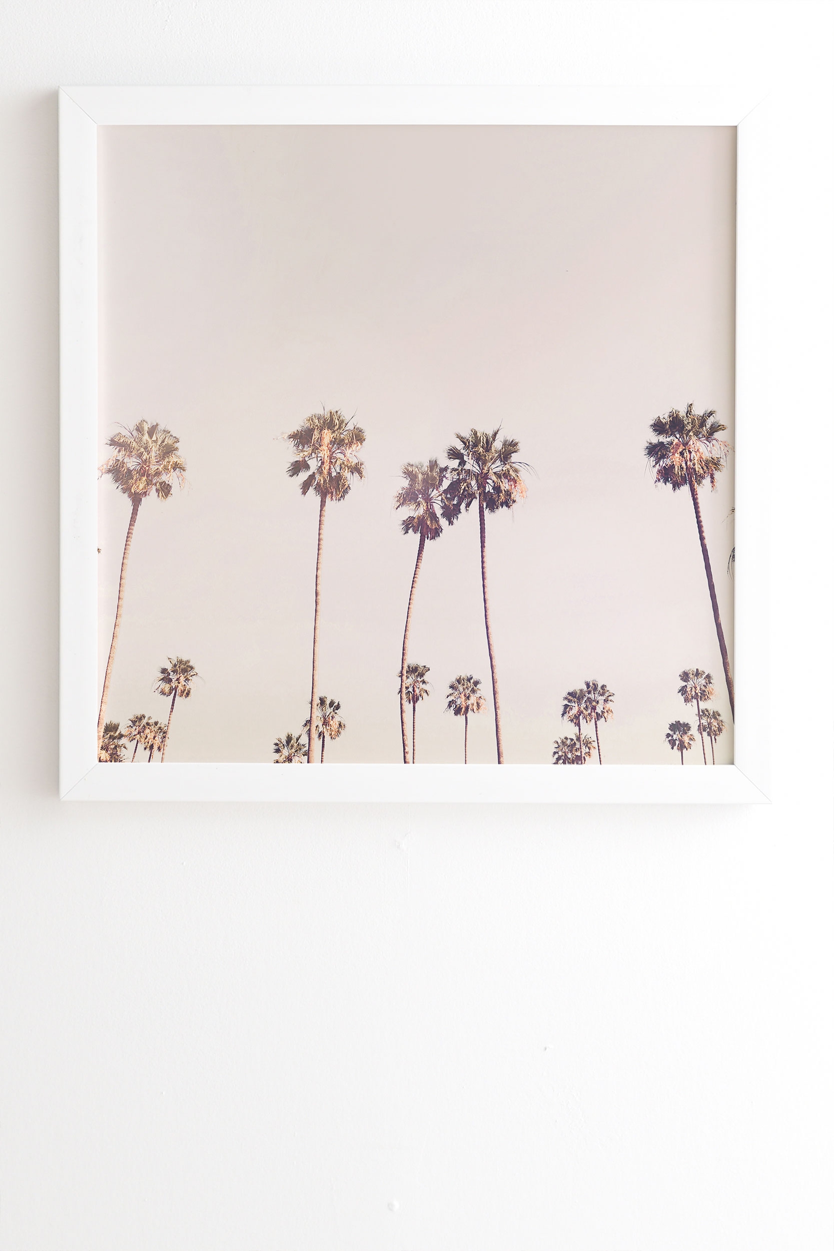 Sunny Cali Palm Trees by Sisi and Seb - Framed Wall Art Basic White 20" x 20" - Image 1
