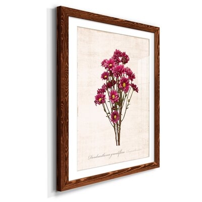 Sketchbook Chrysanthemum - Picture Frame Graphic Art Print on Paper - Image 0
