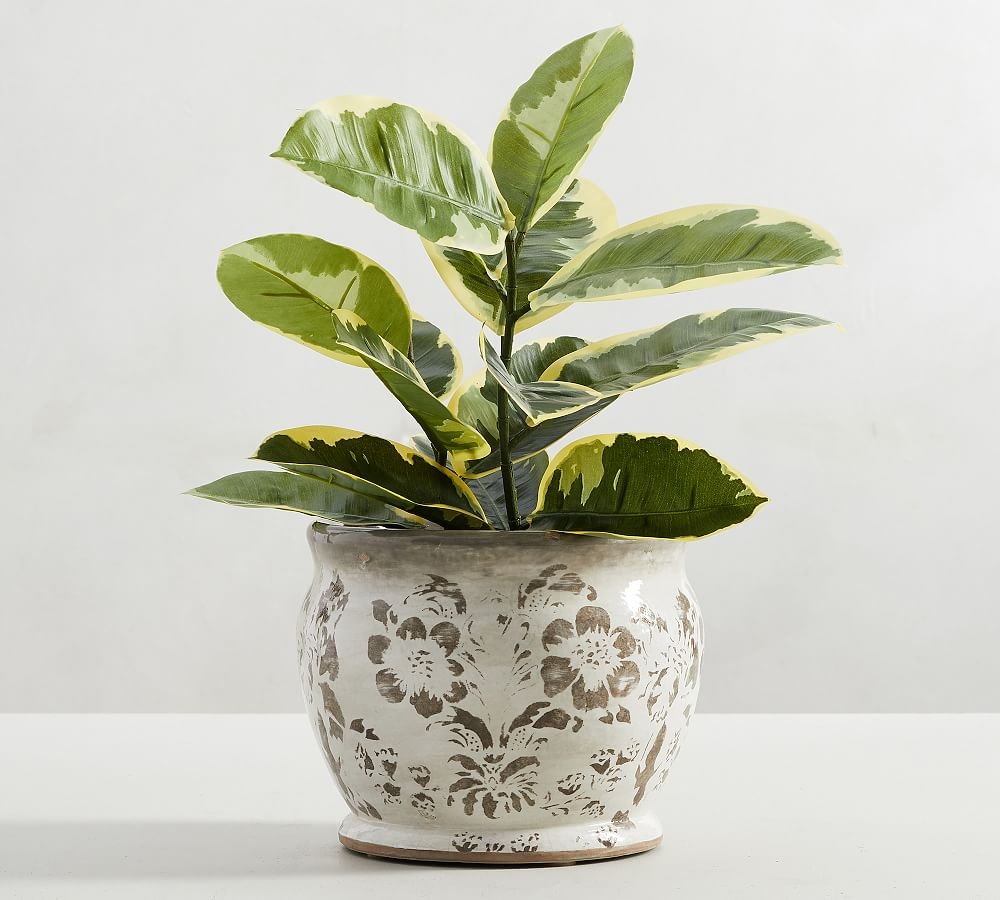 Collette Floral Handcrafted Terra Cotta Planter, Gray - Image 0