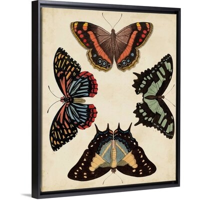 Display of Butterflies IV by Studio Vision - Painting Print on Canvas - Image 0
