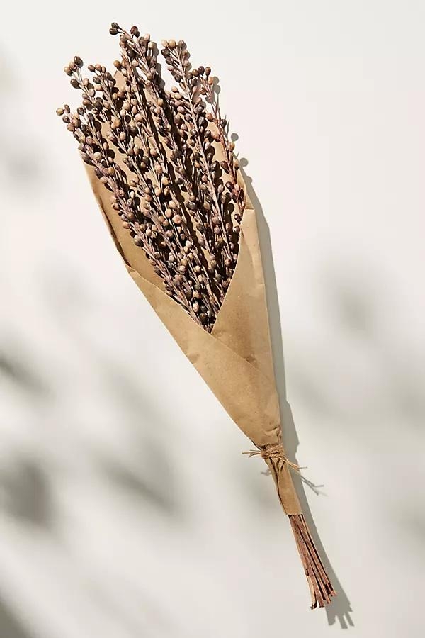Dried Statement Stem Bouquet By Anthropologie in Brown - Image 0