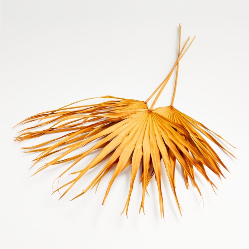 Orange Paper Palms, Set of 3 - Image 2