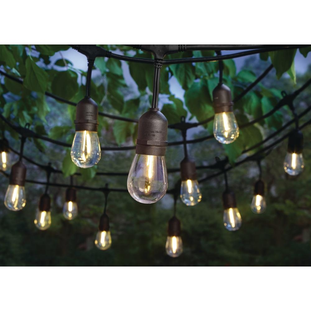 Hampton Bay 24-Light Indoor/Outdoor 48 ft. String Light with S14 Single Filament LED Bulbs - Image 0