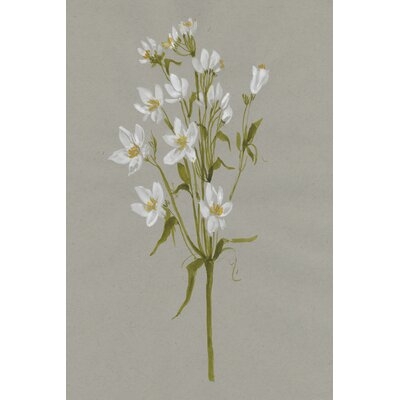 White Field Flowers II - Image 0