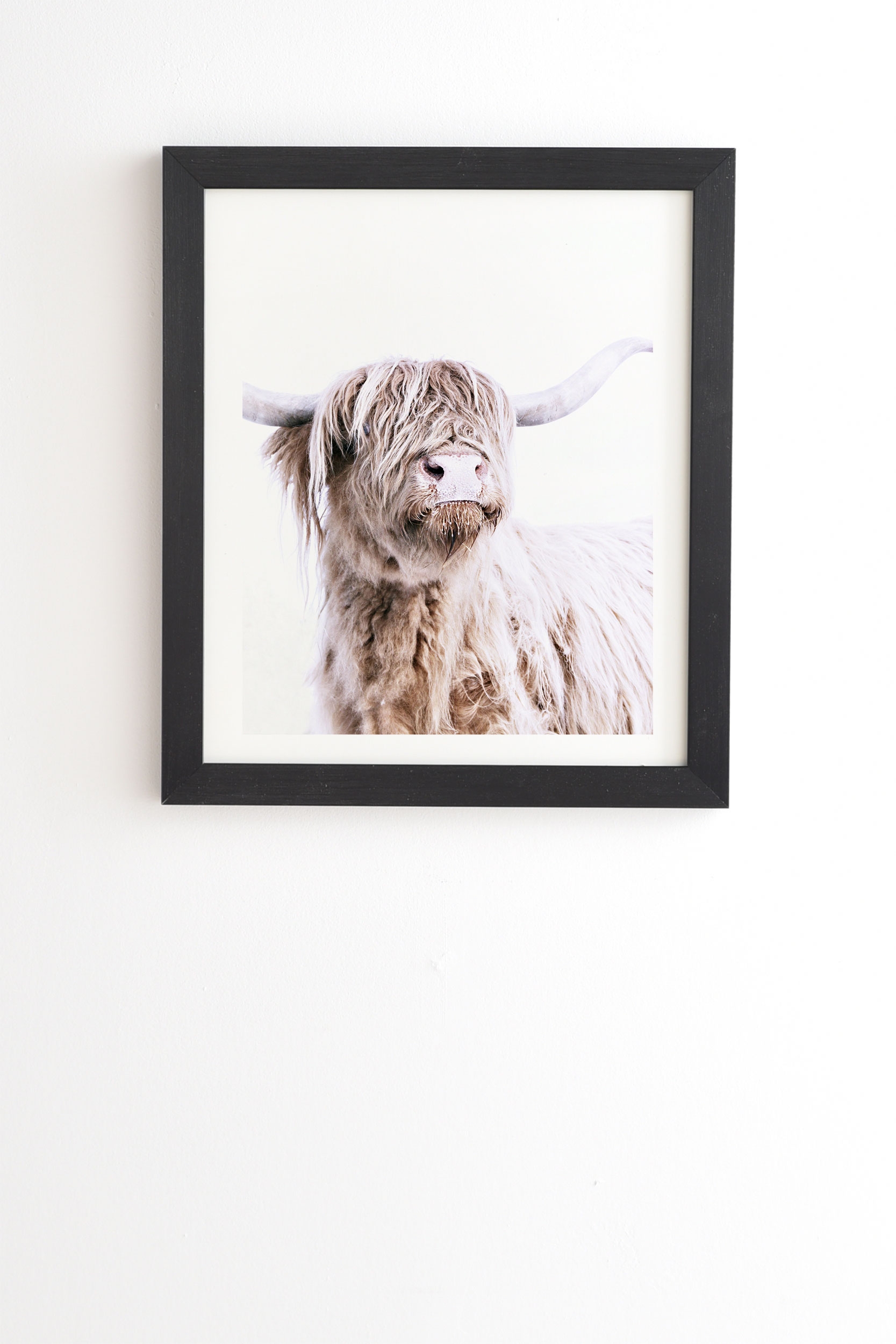 Highland Cattle by Monika Strigel - Framed Wall Art Basic Black 20" x 20" - Image 0