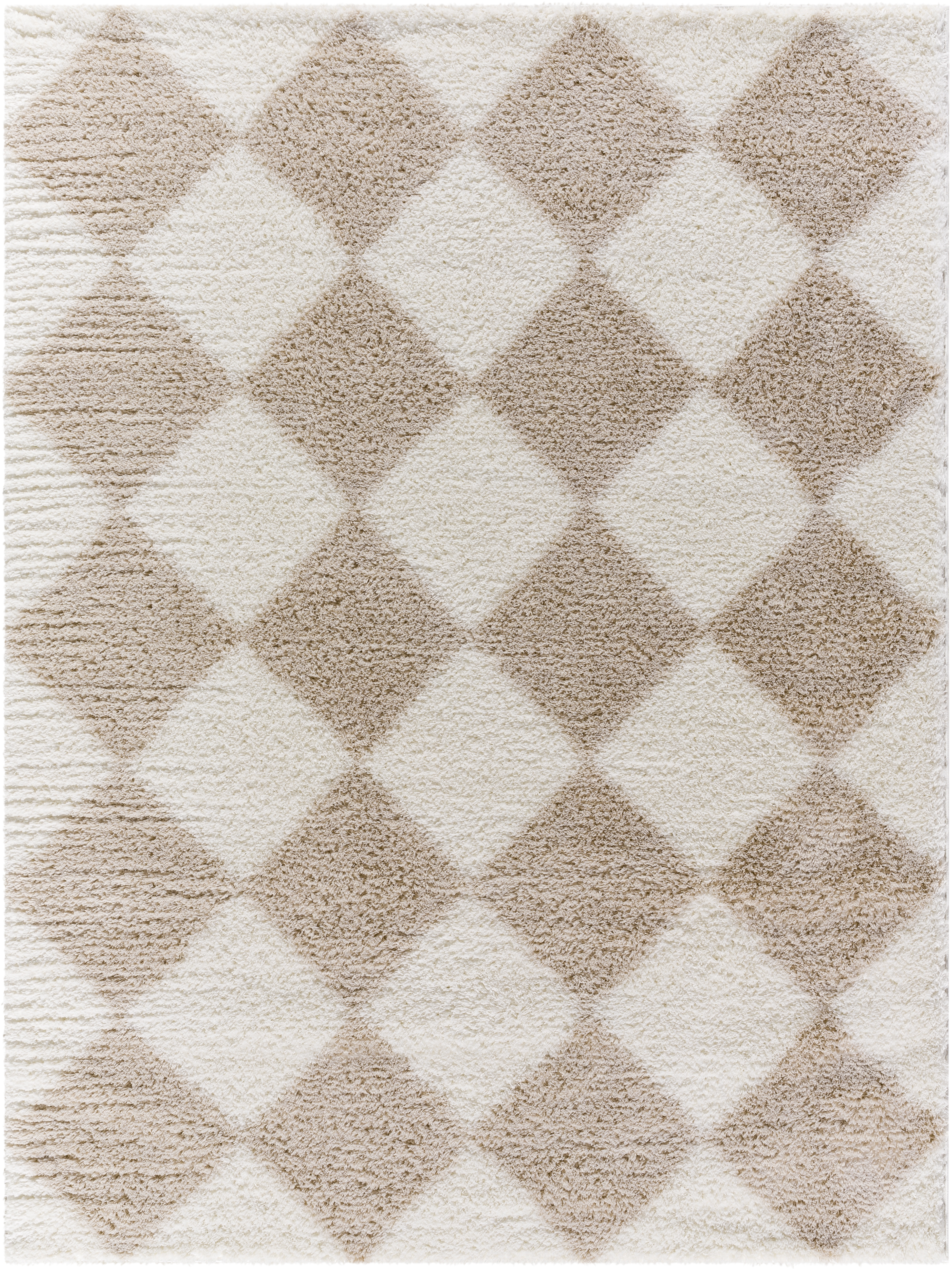 Cloudy Shag Beige Indoor 7'10" x 10' Machine Woven Rug - Image 0