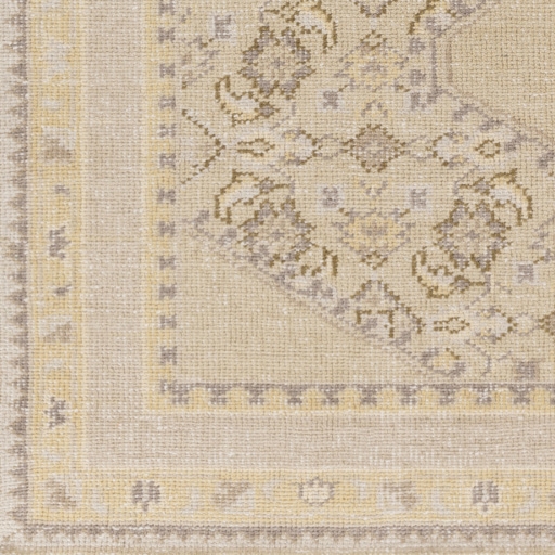 Zahra Beige Indoor 3'6" x 5'6" Handmade Rug - Image 0