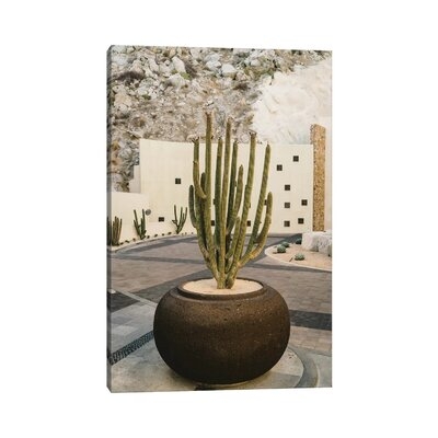 Cabo Cactus VIII by Bethany Young - Wrapped Canvas Photograph Print - Image 0