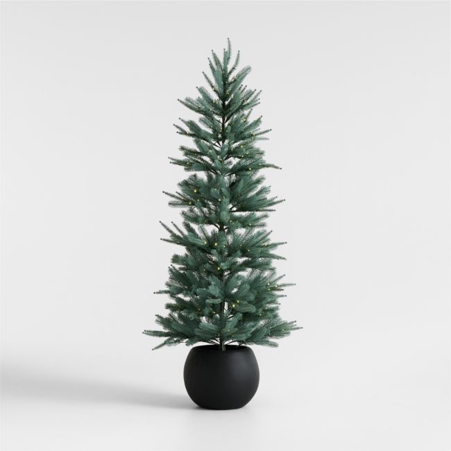 Potted Pre-Lit Blue Spruce Tree 6' - Image 0