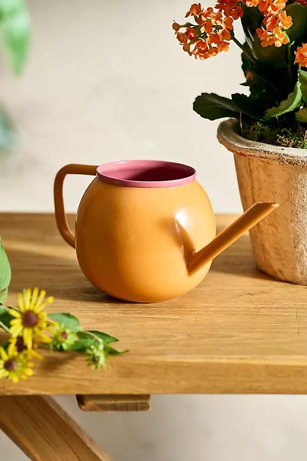 Colorful Enamel Watering Can, Harvest - Image 0